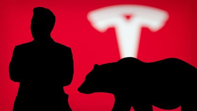 Big Tesla Shareholder Mounts a Rebellion Against Elon Musk