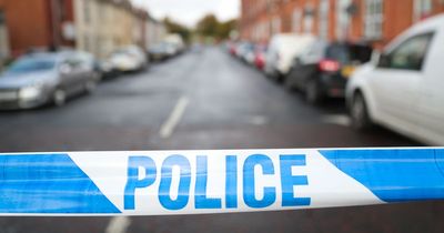 Older couple threatened with pitchfork during burglary in Lurgan