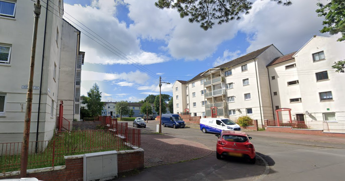 Rutherglen drugs bust uncovers £400k worth of herbal…