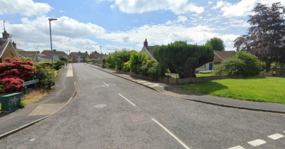 Lurgan house ransacked and man assaulted by gang