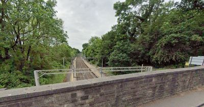 Emergency services swarm railway line after person struck by train