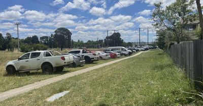 Summernats fans allegedly damaged property to gain nature strip parking