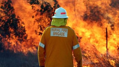 La Niña drenching for Queensland outback increases bushfire risks