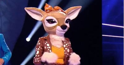 Who is Fawn on Masked Singer? Girl band star 'uncovered' as one word in riddle 'confirms' identity