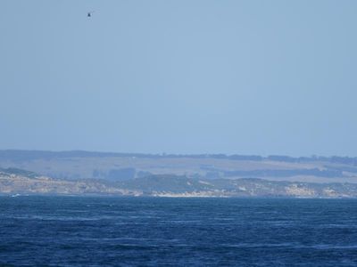 Search for missing swimmer continues