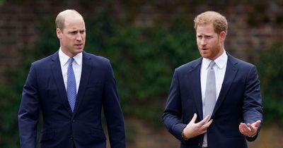 Prince Harry 'stopped cold' when William used three-word secret code during funeral row