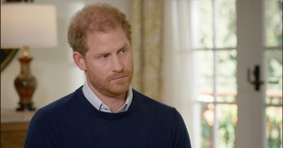 Prince Harry blasts Royal Family for 'horrible reaction' on the day the Queen died