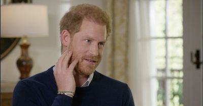 Viewers left confused over Prince Harry's 'insane' row with brother William about his beard