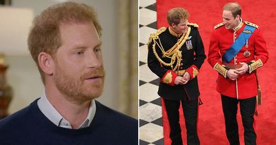 Prince Harry insists he never meant to 'harm' Royals with book but slams 'years of lies'