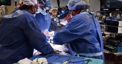 'New testing of protein to tell surgeons best time for heart operation is excellent news'