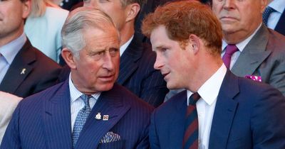 Prince Harry likens royal family to 'abusers' in brutal swipe at King Charles and William