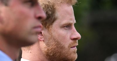 Prince Harry dubbed a 'walking contradiction' after bombshell Royal family interview