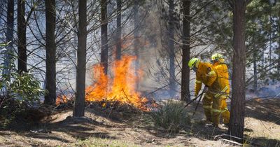 'Spread thinner and thinner': Bushfire council warns ACT response at risk of falling short