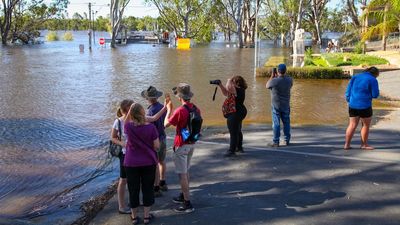 River Murray flooding has cut roads and ferries — but drivers could be eligible for support
