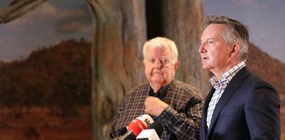 Chubb review of Australia's carbon credit scheme falls short – and problems will continue to fester