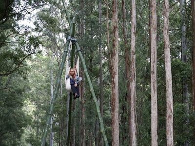 Arrests at logging protest in NSW forest