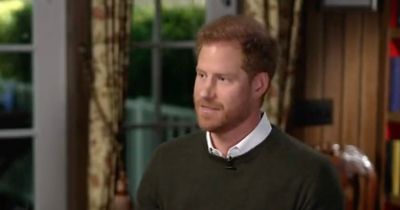 Prince Harry opens up on current relationship with Prince William and brands Camilla 'the villain' in USA interview