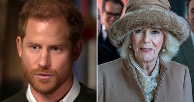 Prince Harry's savage attacks on Camilla as he calls Queen Consort 'dangerous villain'