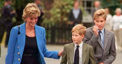 Prince Harry says William 'hurt' him with savage school remark which 'didn't make sense'