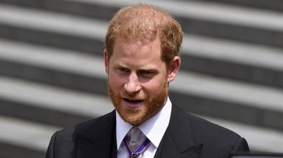 Prince Harry Interviews: Main Points
