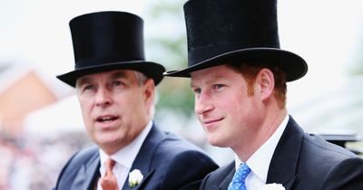 Prince Harry criticises Duke of York over 'shameful scandal' of Epstein affair