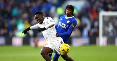 Leeds United news as 'infectious' Wilfried Gnonto hailed as 'great purchase' after Cardiff draw
