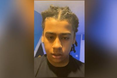 Teenager admits murder of Jermaine Cools, 14, in west Croydon stabbing