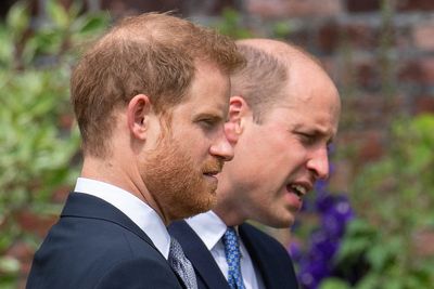 Prince Harry’s new book Spare reveals royal brothers’ childhood nicknames for each other