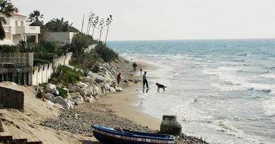 Young woman with head and hands chopped off found in sea off Marbella in grisly mystery