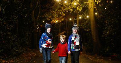 Things to do in Dublin this January from illuminated forest walks to Lunar New Year celebrations