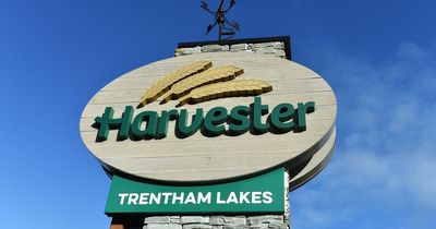 Harvester makes half price deal but diners will need to act fast to take up food offer