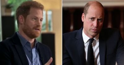 Prince Harry details secret chat with brother Prince William at Diana's graveside