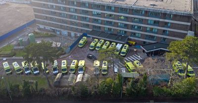 Plan unveiled to move 3,000 NHS patients to care homes - as it's branded 'sticking plaster'