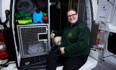 Animal ambulances answer growing demand for pet emergency care