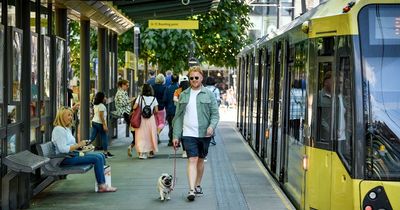 Metrolink users make same demand after dogs to be allowed on trams permanently