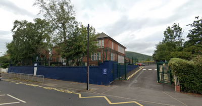 Springfield Primary School car park plan delayed for site check