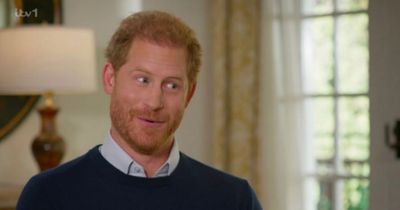 'Like all royals, Prince Harry is media savvy and knows how to manipulate public opinion'