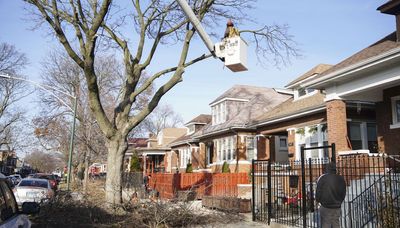 Alderpersons call in crews to cut branches of tree in Gage Park after they say homeowner refused to take down noose