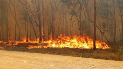 Houses, sheds and cars destroyed, multiple firefighters require treatment in Millmerran bushfire