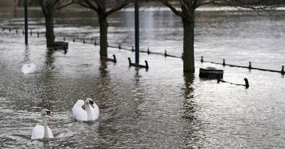 UK weather forecast: Urgent warning around rivers and lakes as rain to lash the nation