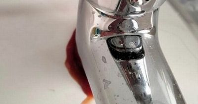 Tomato ketchup cleaning hack leaves sinks spotless and it involves no scrubbing