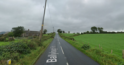 NI traffic and travel: Co Down road closed due to fallen electric pole