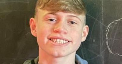 Family concerned for well-being of missing Dublin schoolboy