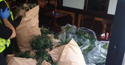 Police discover 'large number' of cannabis plants in empty Bolton town centre building