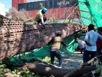 Karnataka: Mother, Son Die After Under-Construction Metro Pillar Collapses In Bengaluru