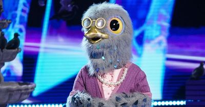 Masked Singer's Pigeon 'is Doctor Who star' after obvious outfit and song clues, say fans