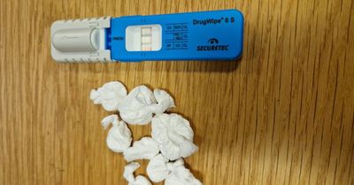 All you need to know about the new Garda antigen-style roadside drug tests as driver is arrested