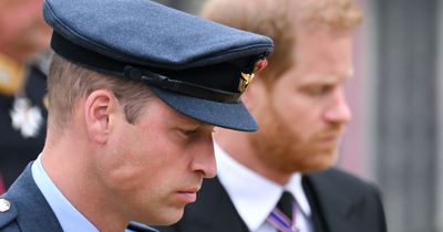 Prince Harry says William 'plotted revenge' in Scotland after King Charles' decision