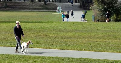 The city in Scotland crowned as one of the most dog-friendly in the UK