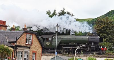 Flying Scotsman 2023 trips announced as iconic train celebrates 100th anniversary - how to get tickets